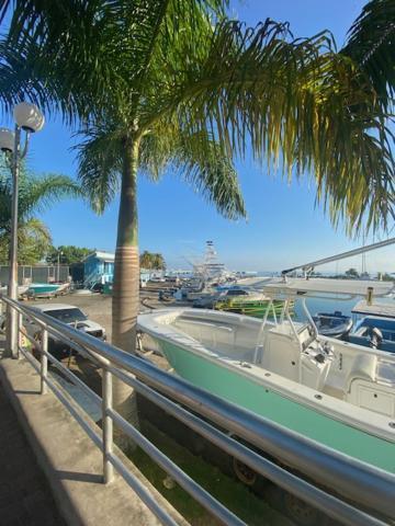 Ocho Rios Vacation Resort Property Rentals Exterior foto